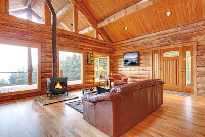 Jotul: F 500 V3—primary view