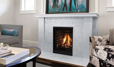 Enviro: Q1 Fireplace—primary view
