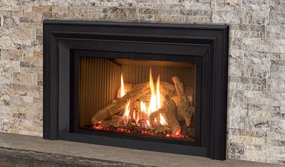 Enviro: EX32 Insert—primary view