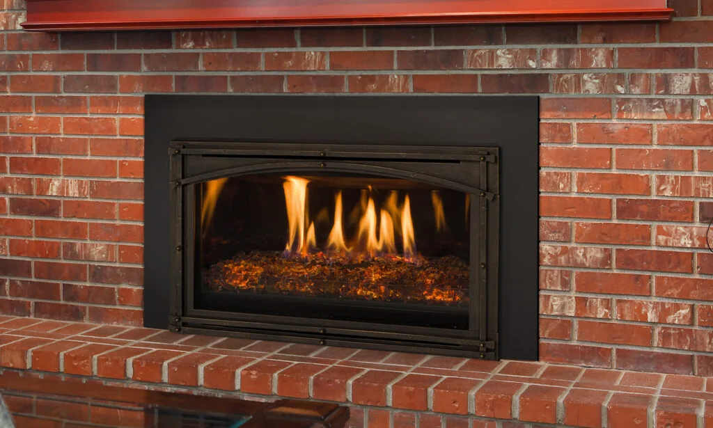 Kozy Heat: Chaska 29 Glass Insert